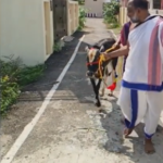 Sri Mantra Peeteswari Veda Patasala - Gho Shala