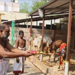 Sri Mantra Peeteswari Veda Patasala - Gho Shala